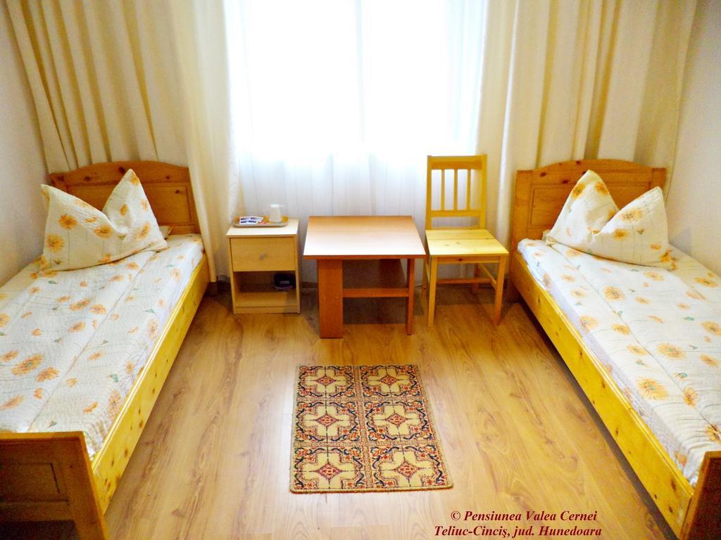 Pensiunea Valea Cernei Teliucu Inferior Oda fotoğraf
