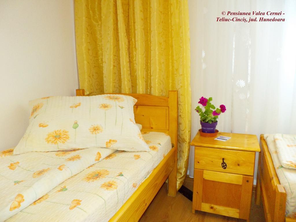 Pensiunea Valea Cernei Teliucu Inferior Oda fotoğraf