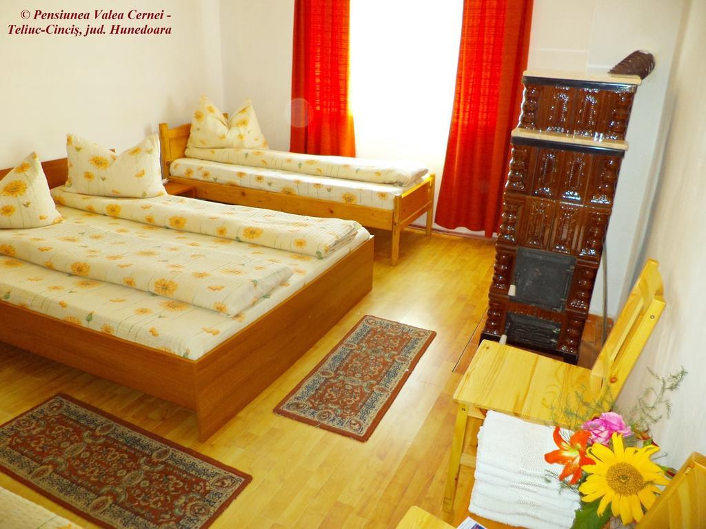 Pensiunea Valea Cernei Teliucu Inferior Oda fotoğraf