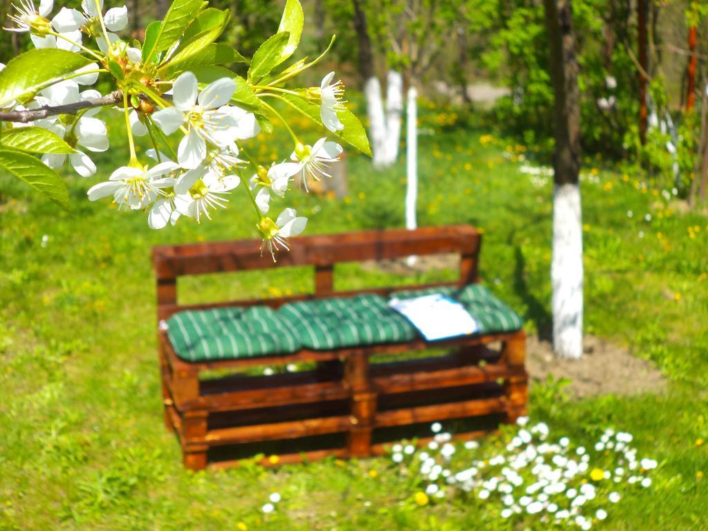 Pensiunea Valea Cernei Teliucu Inferior Dış mekan fotoğraf